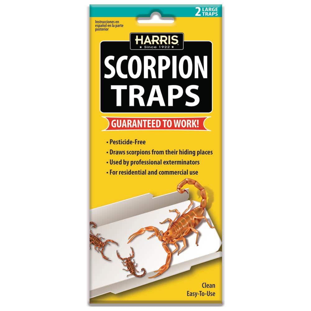 Harris Scorpion Glue Trap (2-Pack) SCTRP - The Home Depot