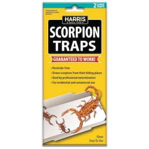 Scorpion Glue Trap (2-Pack)