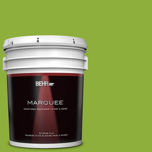 BEHR MARQUEE 5 gal. #420B-6 New Green Flat Exterior Paint & Primer