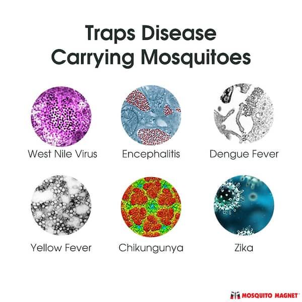 Mosquito Magnet® Patriot Plus Mosquito Trap