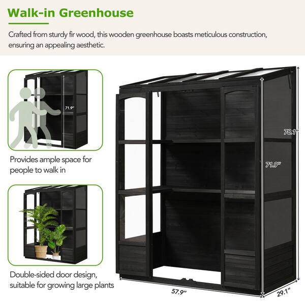 Unbranded - 57.9 in. W x 29.1 in. D x 78.1 in. H Black Wood Greenhouse with 4-Independent Skylights and 2-Folding Middle Shelves