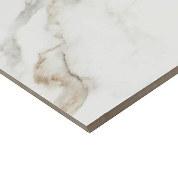 Daltile Maisto Safari Calacatta 6 in. x 6in. Glazed Porcelain Tile