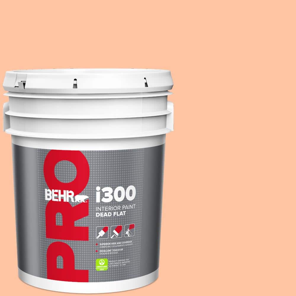 5 gal. #P200-3 Tomorrows Coral Dead Flat Interior Paint product image for price tracking