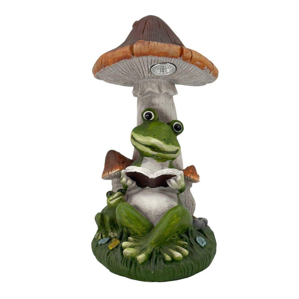 14 in. Reading Frog Mushroom Solar LED Statue price history on PriceWatchPro