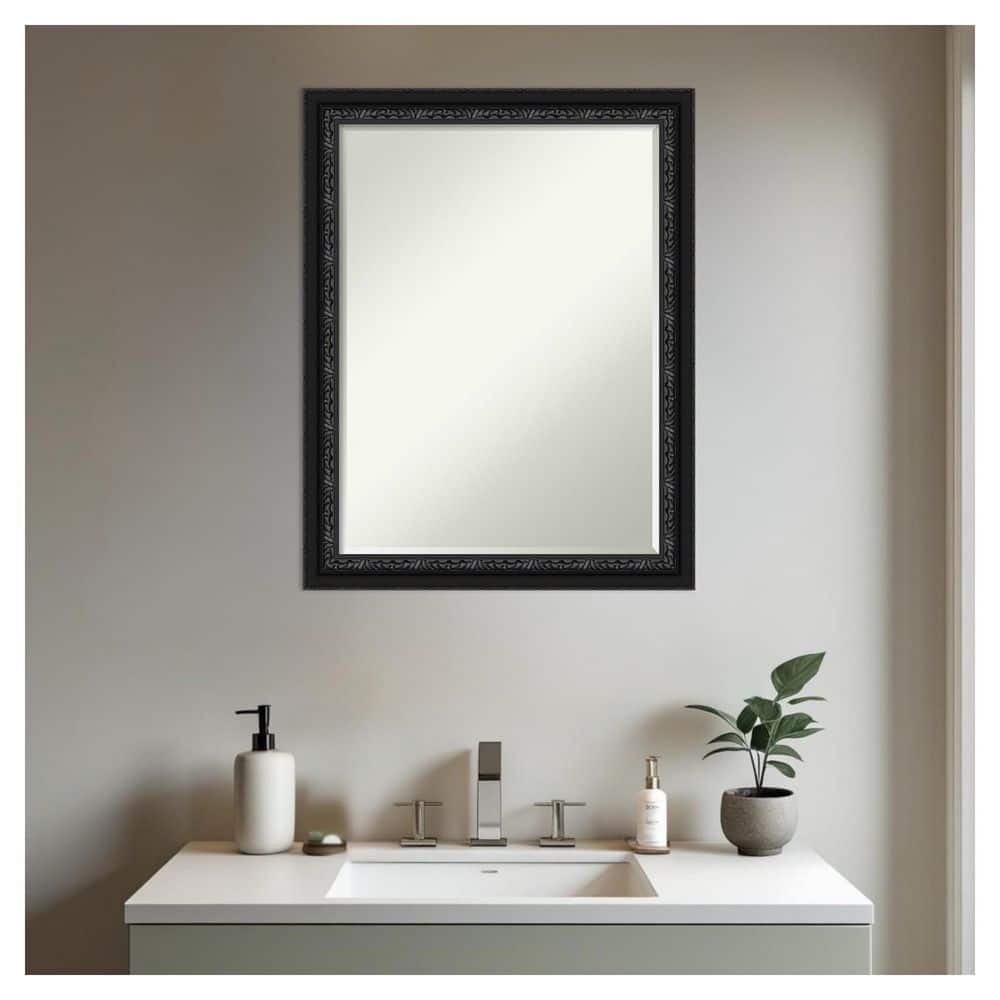 Downton Black 21.5 in. x 27.5 in. Petite Bevel Traditional Rectangle Wood Framed Bathroom Wall Mirror price history on PriceWatchPro