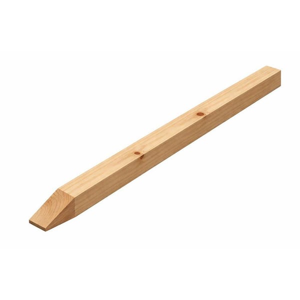 2 x 2-36 in. SYP Concrete Grade Stake (20--pcs/Pack) 2236GS - The