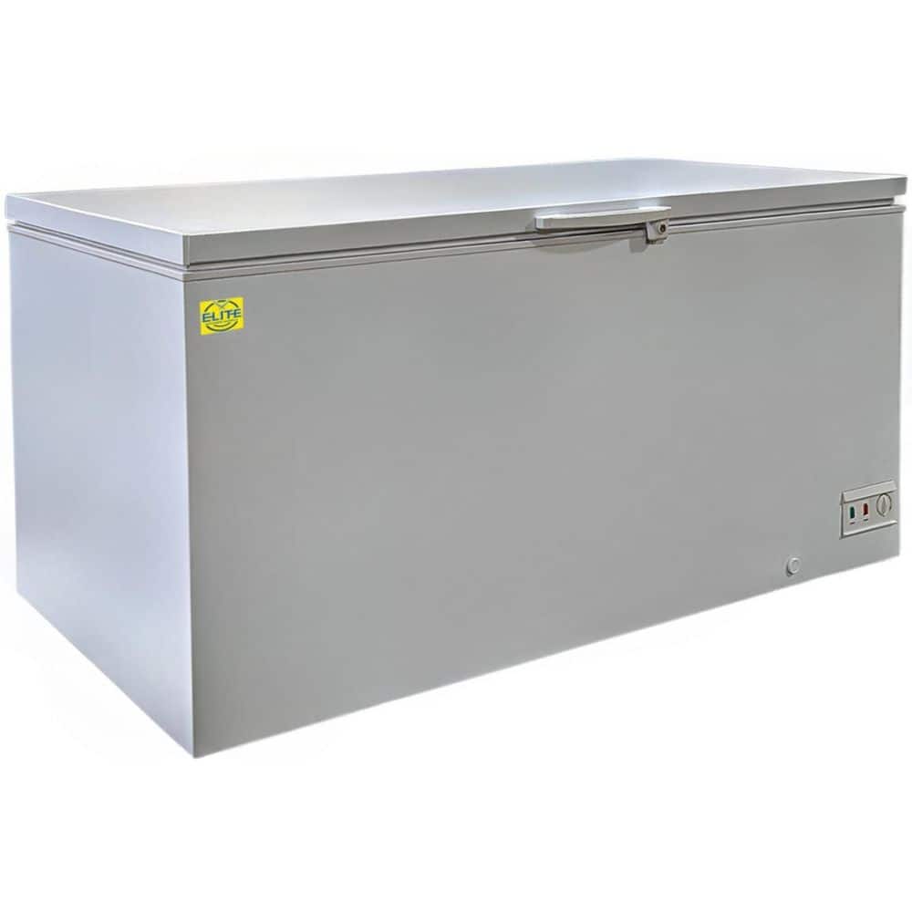 71 in. 20 cu. ft. Manual Defrost Solid Top Commercial Chest Freezer BD620 in White