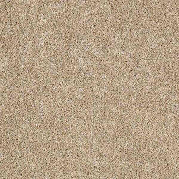 Lifeproof 8 in. x 8 in. Texture Carpet Sample - Gorrono Ranch II -Color Mysterious