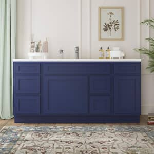 66 in. W x 21 in. D x 32.5 in. H Bath Vanity Cabinet without Top in Blue