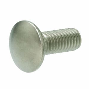1/2- 13 in. x 10 in. Stainless Steel Carriage Bolt (10 per Pack)