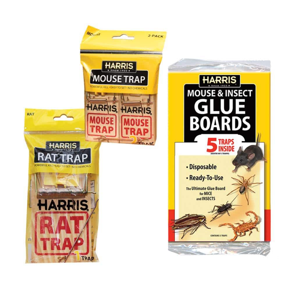 Harris Rat and Mouse Snap Traps and Pest Glue Boards (5-Pack) SNAP-GB5 -  The Home Depot