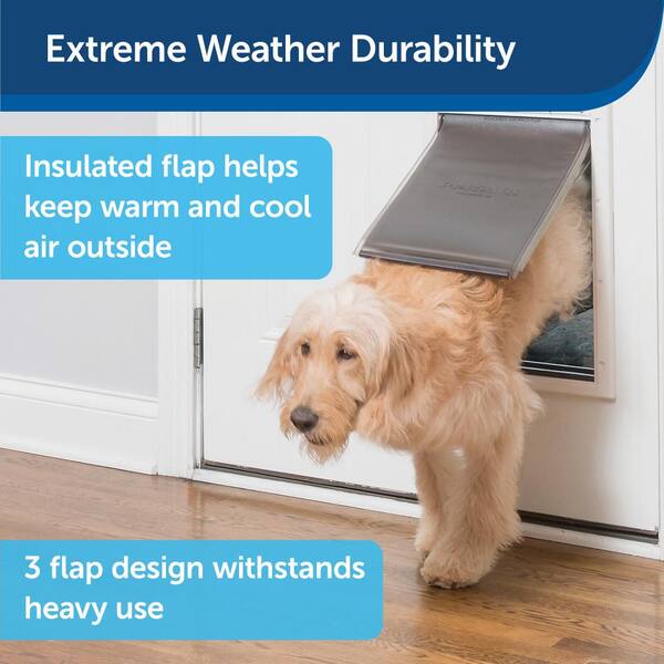 extra large dog doors extreme weather