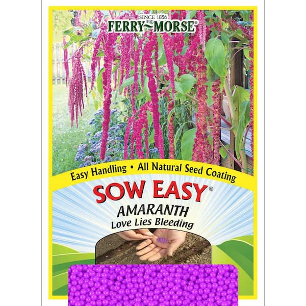 Ferry-Morse Sow Easy Amaranth Love Lies Bleeding Flower Seeds