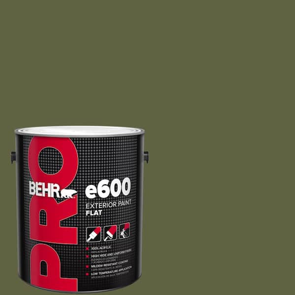 BEHR PRO 1 gal. #T11-16 Fjord Flat Exterior Paint
