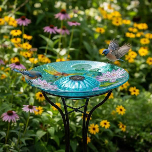 Teamson Home 18 in. Glass Dragonfly Outdoor Fusion Solar Birdbath
