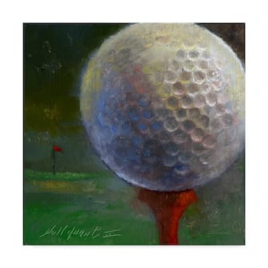 Golf Ball Centered by Hall Groat Ii Hidden Frame Sports 14 in. x 14 in.