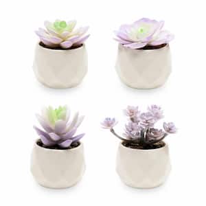 Artificial Purple Cactus Plant in White Ceramic Pots (4-Pack)