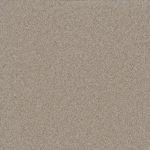 Misty Meadows III- Glenrock Beige - 75 oz. SD Polyester Texture Installed Carpet