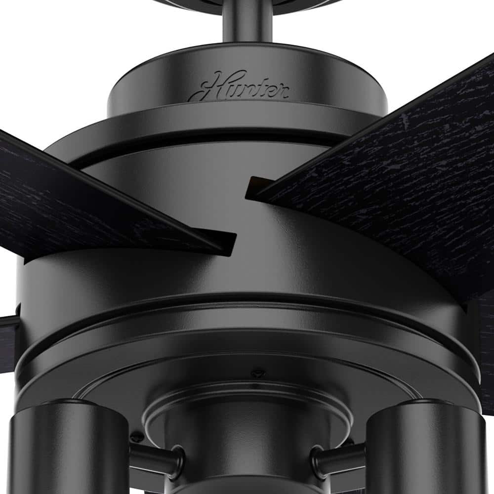 Matte Black 44" Ceiling Fan with LED Light and Remote Control