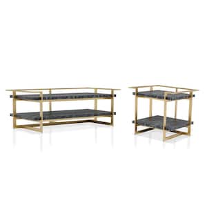 Muscher 50.5 in. 2-Piece Gold Coating and Black Rectangle Faux Marble Coffee Table Set with Shelf