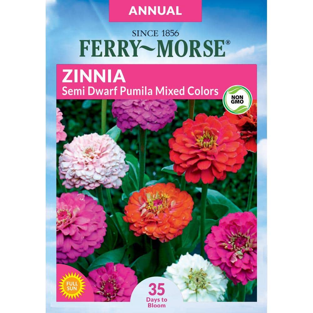 ferry-morse-flower-seeds-6948-