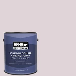 1 gal. #PPU16-07 Mystic Fairy Ceiling Flat Interior Paint & Primer