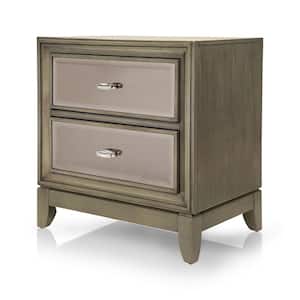 Donna 2-Drawer Silver Nightstand 24.5 in. H x 23 in. W x 16 in. D