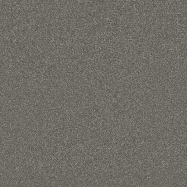 Park Royal-Color Safari Brown 52 oz. Nylon Texture Installed Carpet