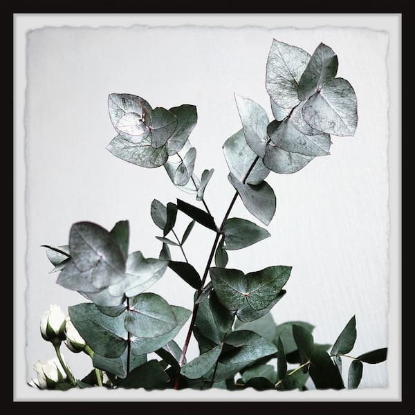 Unbranded "Green Shiny Leaves" by Marmont Hill Framed Nature Art Print 18 in. x 18 in.