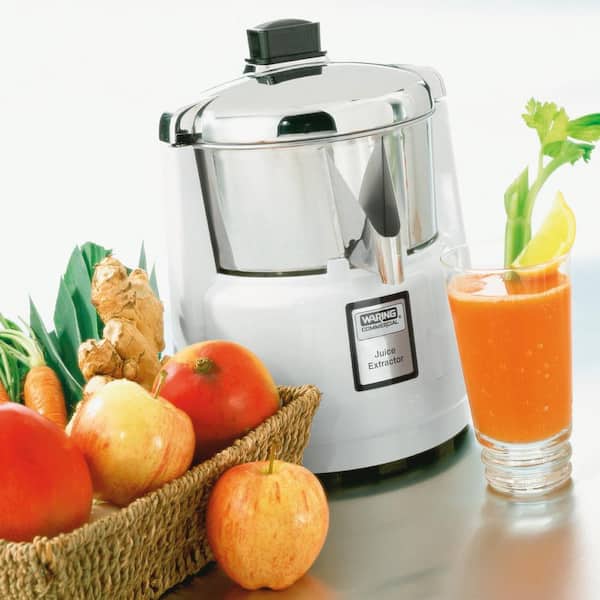 Commercial Blender Ice Shaver Fruit Vegetable Extractor Juicer