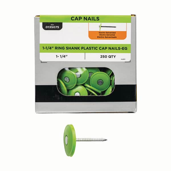 1-1/4 in. x 12-Gauge Electrogalvanized Ring Shank Plastic Cap Roofing Nail (250-Pack)