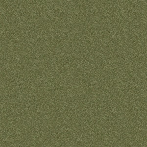 Watercolors II - Spearmint - Green 38.4 oz. Polyester Texture Installed Carpet