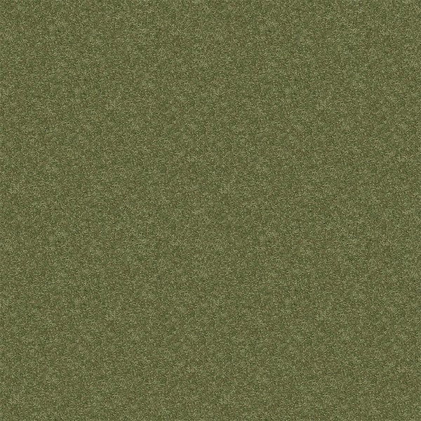 TrafficMaster Watercolors II - Spearmint - Green 38.4 oz. Polyester Texture Installed Carpet