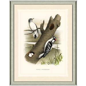 16 in. x 20 in. Woodpeckers Framed Archival Paper Wall Art