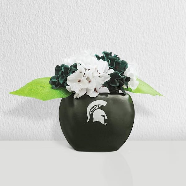 MSU Orchid Plant, MSU Faux Orchid Plant, MSU Gifts for Men, MSU