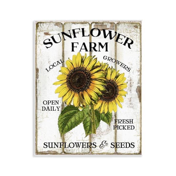 Stupell Industries Antique Sunflower Farm Seeds by Creatif Belle Unframed Nature Graphic Art Print 14 in. x 11 in.