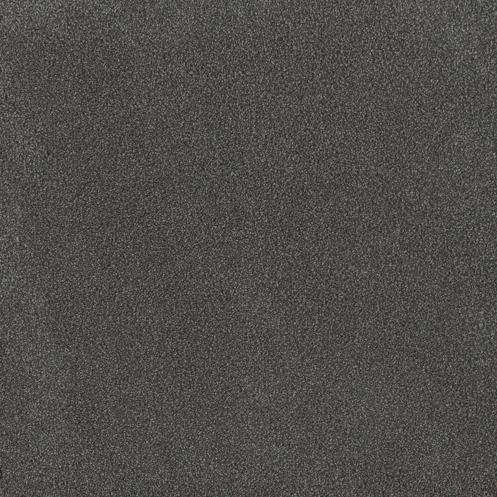 8 in. x 8 in. Texture Carpet Sample - First Class I -Color Oakwood price history on PriceWatchPro