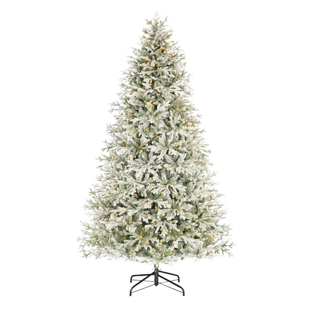 Home Decorators Collection 9 ft Elegant Grand Fir LED Pre-Lit Artificial Christmas  Tree with Timer with 3000 Warm White Lights W14N0139 - The Home Depot