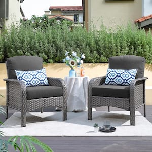 Denali Gray Modern Wicker Outdoor Lounge Chair Seating Set with Black Cushions (2-Pack)