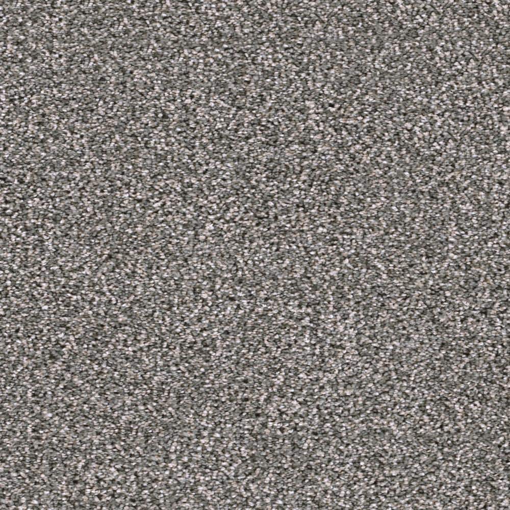 8 in. x  8 in. Texture Carpet Sample - Affectionate I -Color Embrace price history on PriceWatchPro