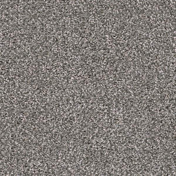 Home Decorators Collection 8 in. x 8 in. Texture Carpet Sample ...