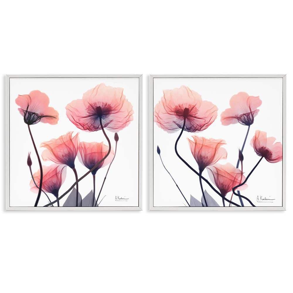 Various Faded Pink Flowers by Albert Koetsier 2-Piece White Framed Nature Giclee Art Print 17 in. x 17 in. price history on PriceWatchPro