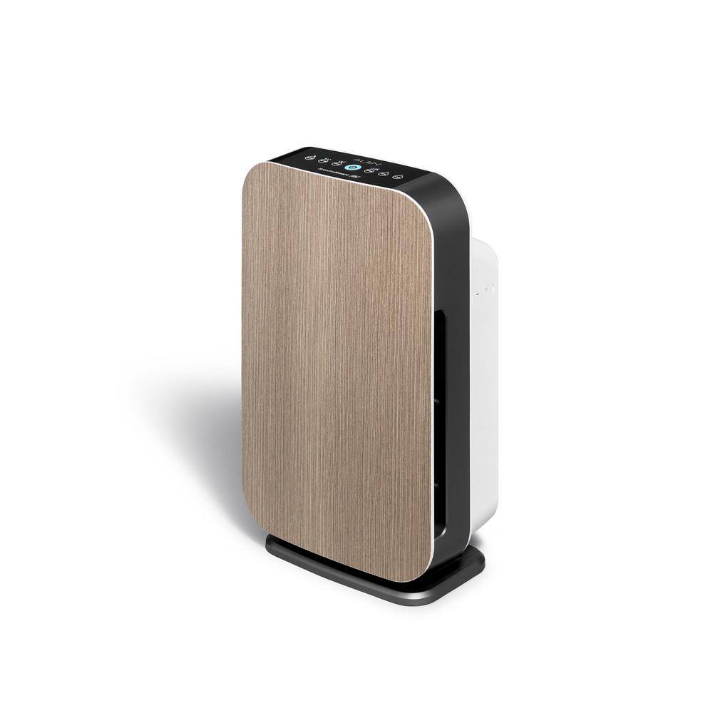 Weathered Gray HEPA Air Purifier with Odor Absorbing Filter