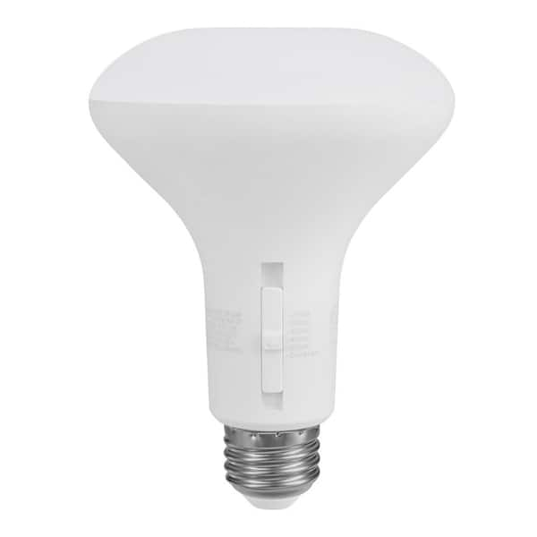 br30 led bulb home depot