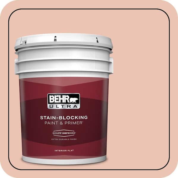 BEHR ULTRA 5 gal. Home Decorators Collection #HDC-CT-14 Coral Coast Extra-Durable Flat Interior Paint & Primer