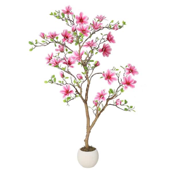 Magnolia Tree Home Depot