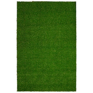 4 ft. x 6 ft. Indoor/Outdoor Greentic Artificial Grass Turf Puppy Pee Pad