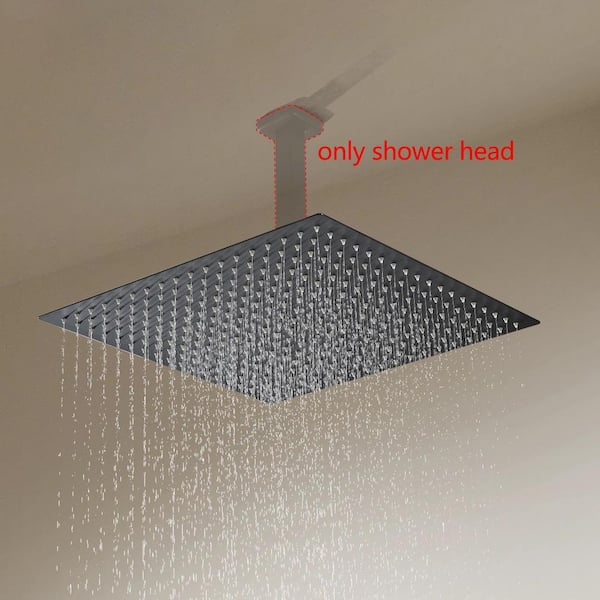 1-Spray Patterns with 2.5 GPM 16 in. Ceiling Mount Fixed Shower Head with 360° Rotation in Matte Black
