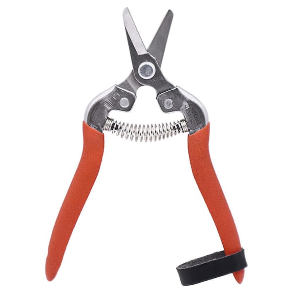 ZENPORT:Zenport Harvest Shear, Short Curved Stainless Steel Blade (Box of 3)