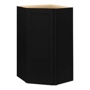 Avondale 24 in. W x 24 in. D x 42 in. H Ready to Assemble Plywood Shaker Diagonal Corner Kitchen Cabinet in Raven Black